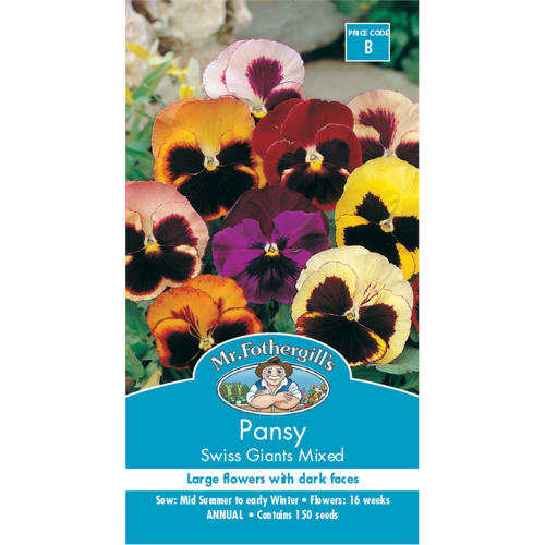 Giống Hoa Pansy Thụy Sỹ (Mix màu)